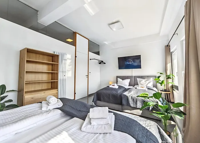 Loft Fuer Bis Zu 12, Whirlpool, Infrarotsauna, Arcade-spiele, Tischfussball, Wii Нюрнберг