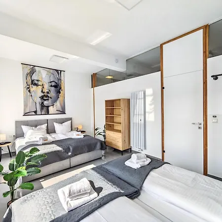 Loft Fuer Bis Zu 12, Whirlpool, Infrarotsauna, Arcade-spiele, Tischfussball, Wii Nuremberg